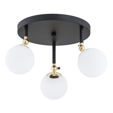 Argon 1436 - Stropna nadgradna svjetiljka za kupaonicu LATINA 3xE14/40W/230V IP44