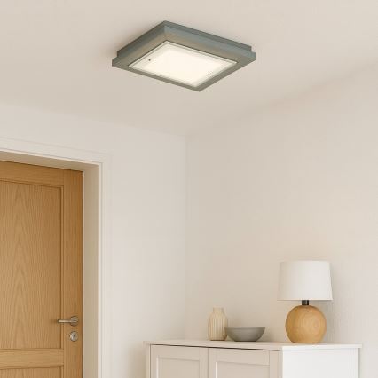 Argon 1873 - Stropna svjetiljka TABOR 4xE27/15W/230V 52x52 cm siva