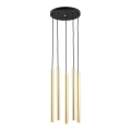 Argon 2109 - LED luster na sajli SICILIA 5xLED/4,5W/230V