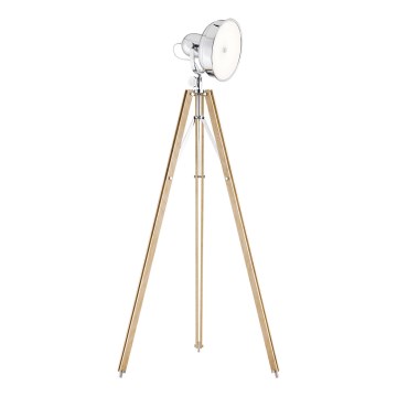 Argon 3354 - Podna lampa FOTO NEW LED/12W/230V