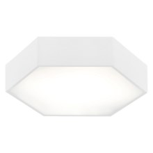 Argon 3827 - LED Stropna svjetiljka ARIZONA LED/22,5W/230V bijela
