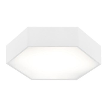 Argon 3827 - LED Stropna svjetiljka ARIZONA LED/22,5W/230V bijela