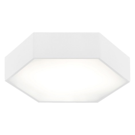 Argon 3827 - LED Stropna svjetiljka ARIZONA LED/22,5W/230V bijela