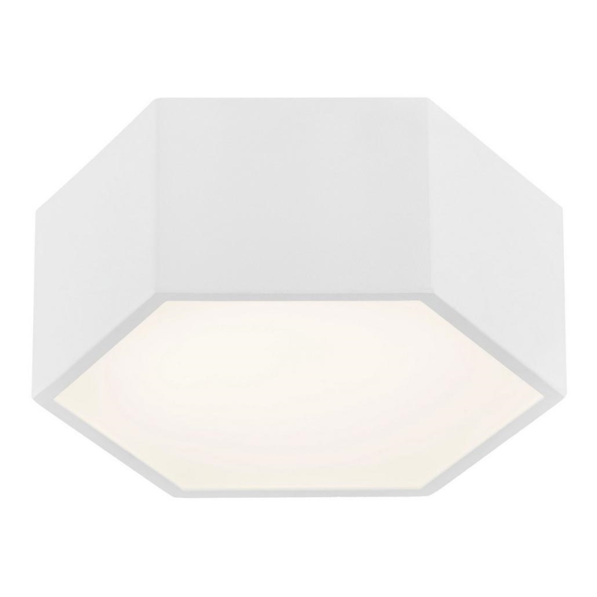 Argon 3828 - LED Stropna svjetiljka ARIZONA LED/9W/230V bijela