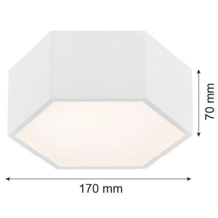 Argon 3828 - LED Stropna svjetiljka ARIZONA LED/9W/230V bijela