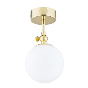 Argon 4001 - Kupaonska stropna nadgradna svjetiljka LATINA 1xE14/40W/230V IP44