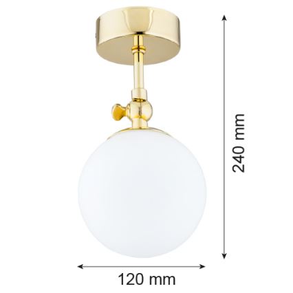 Argon 4001 - Kupaonska stropna nadgradna svjetiljka LATINA 1xE14/40W/230V IP44