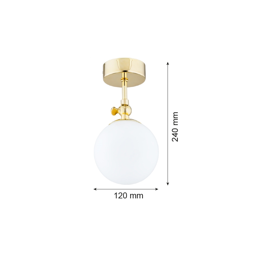 Argon 4001 - Nadgradni luster za kupaonicu LATINA 1xE14/40W/230V IP44