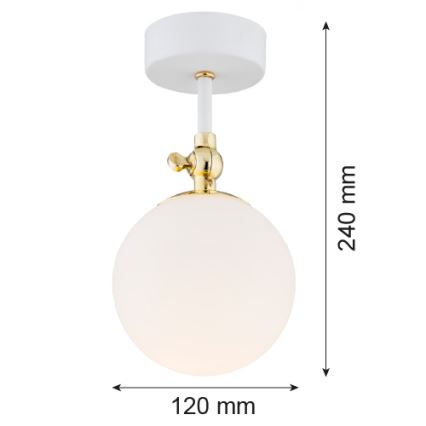 Argon 4002 - Nadgradni luster za kupaonicu LATINA 1xE14/7W/230V IP44 bijela/zlatna