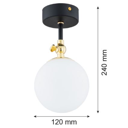 Argon 4003 - Nadgradni luster za kupaonicu LATINA 1xE14/7W/230V IP44 crna/mesing