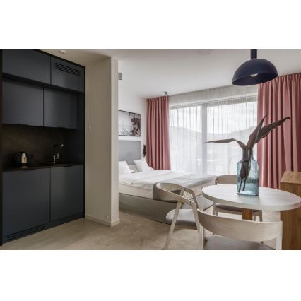 Argon 4222 - Luster na užetu SINES 1xE27/15W/230V promjer 28 cm crna