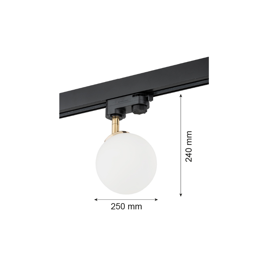Argon 4307 - Reflektorska svjetiljka za tračni sustav BANG 1xG9/6W/230V mesing