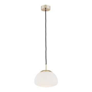 Argon 4352 - Luster na sajli TRINI 1xE27/15W/230V pr. 20 cm zlatna