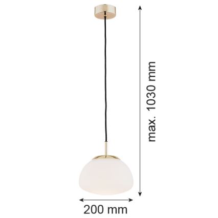 Argon 4352 - Luster na sajli TRINI 1xE27/15W/230V pr. 20 cm zlatna