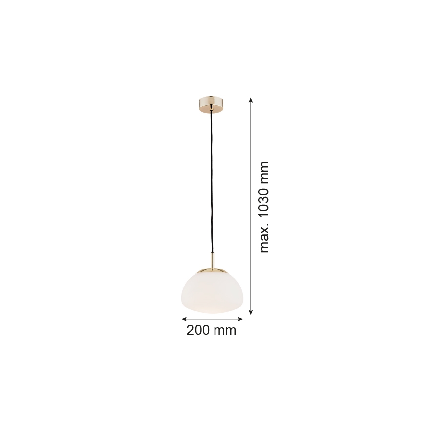 Argon 4352 - Luster na sajli TRINI 1xE27/15W/230V pr. 20 cm zlatna