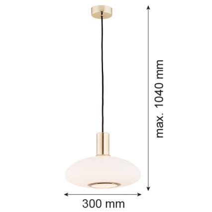 Argon 4358 - Luster na sajli SAGUNTO 1xE27/15W/230V pr. 30 cm mesing