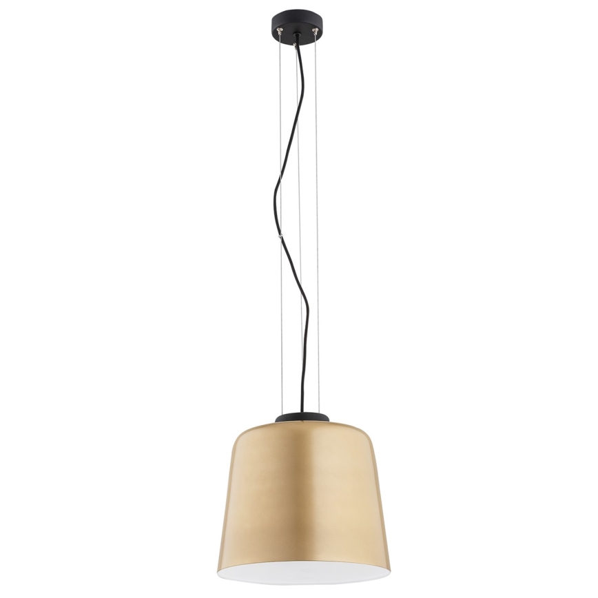 Argon 4690 - Luster na sajli BERKLEY 1xE27/15W/230V