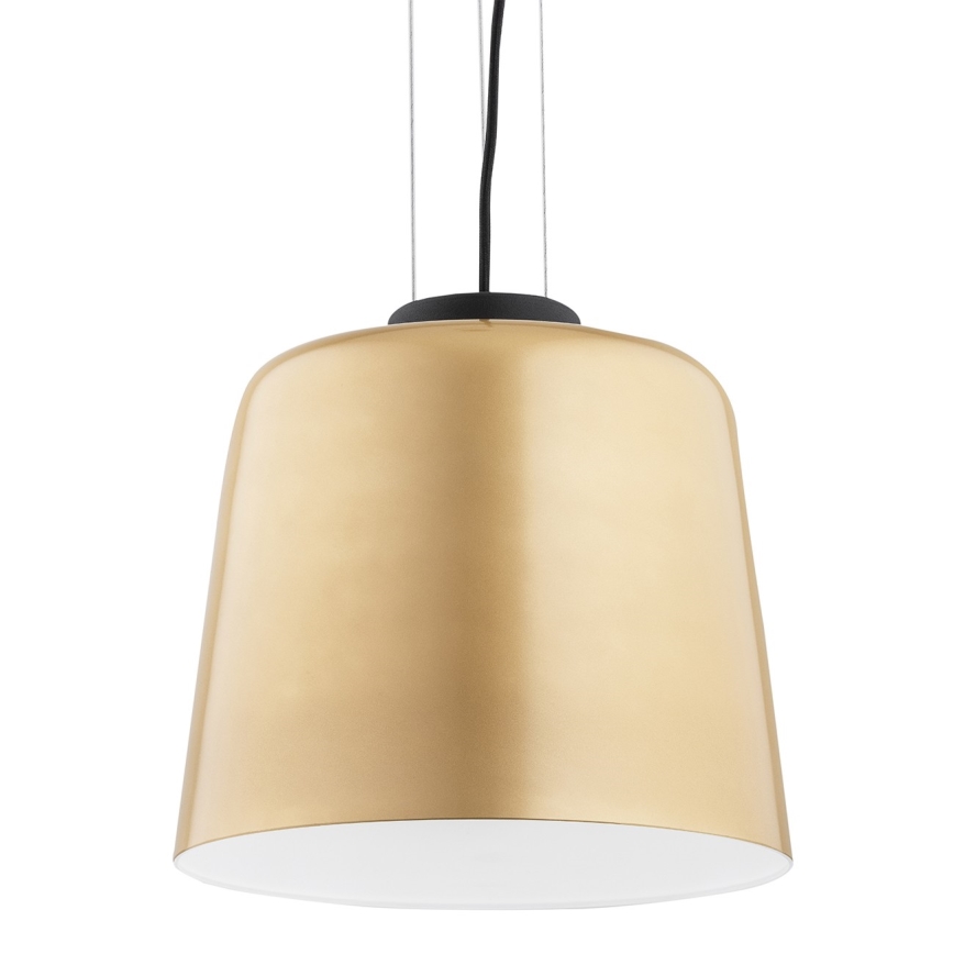 Argon 4690 - Luster na sajli BERKLEY 1xE27/15W/230V