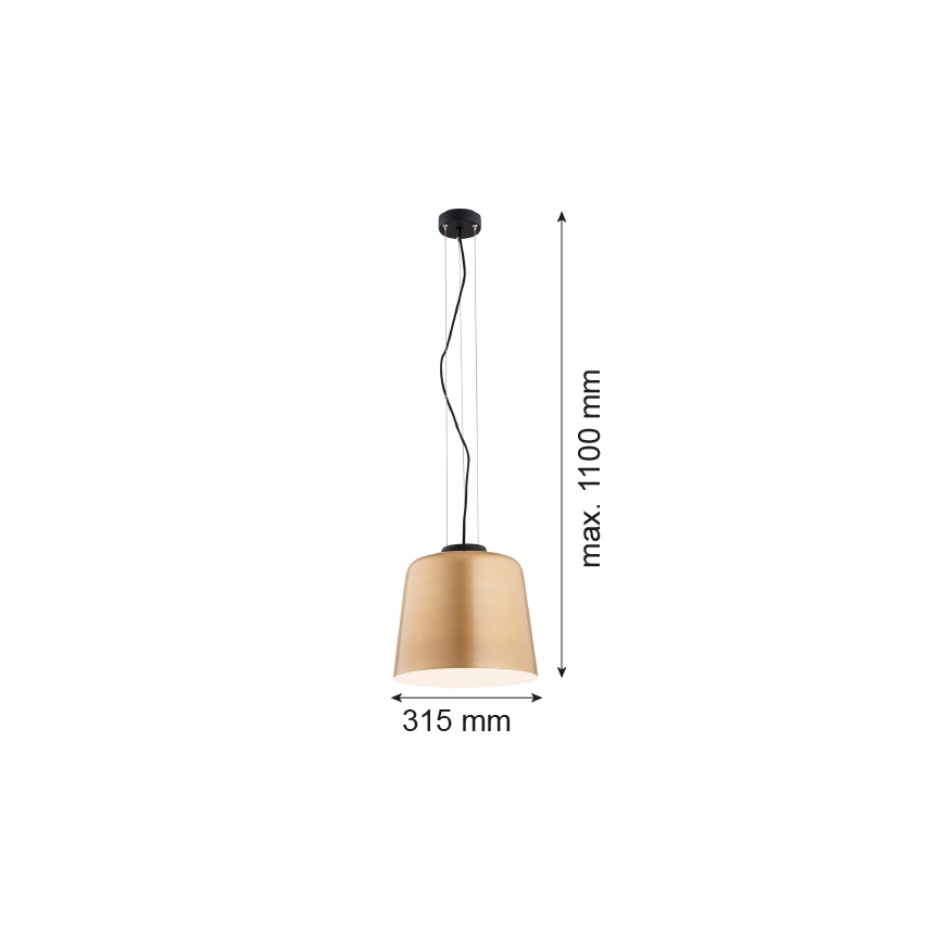 Argon 4690 - Luster na sajli BERKLEY 1xE27/15W/230V