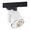 Argon 4750 - Točkasto svjetlo za ALTO tračni sustav 1xGU10-AR111/12W/230V bijela