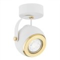 Argon 4901 - Reflektorska svjetiljka KOS PLUS 1xGU10/5W/230V bijela/zlatna