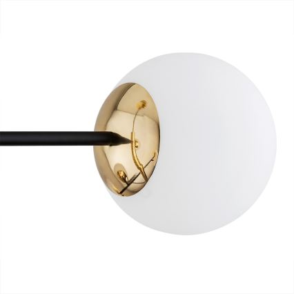 Argon 5041 - Viseći luster CAMERON 8xE27/15W/230V mesing/crna