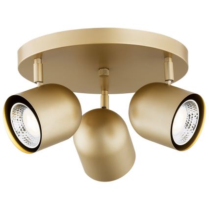 Argon 6249 - Reflektorska svjetiljka ISOLA 3xGU10/5W/230V