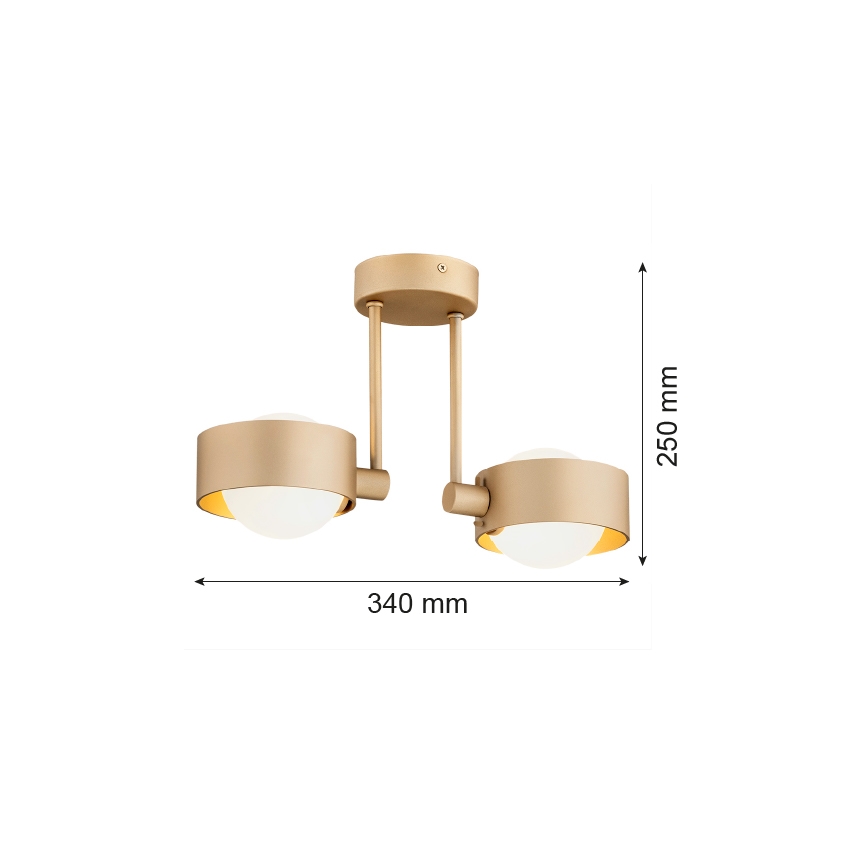 Argon 7215 - Kupaonski luster MASSIMO PLUS 2xG9/6W/230V IP44 zlatna