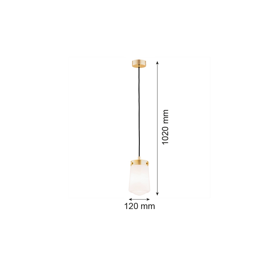 Argon 8004 - Luster na sajli PASADENA 1xE27/15W/230V zlatna/bijela