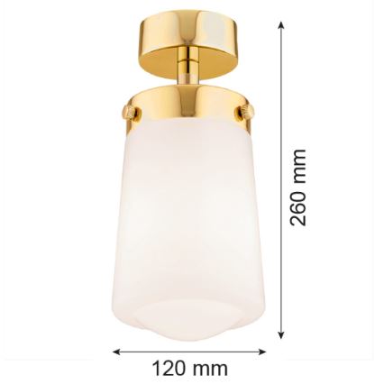 Argon 8005 - Nadgradni luster PASADENA 1xE27/15W/230V zlatna/bijela