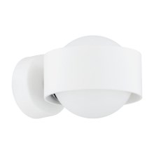 Argon 8057 - Zidna svjetiljka MASSIMO PLUS 1xG9/6W/230V bijela