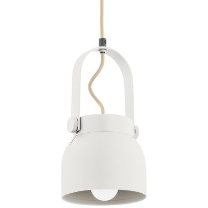 Argon 8290 - Luster na sajli LOGAN 1xE27/15W/230V pr. 14 cm bijela