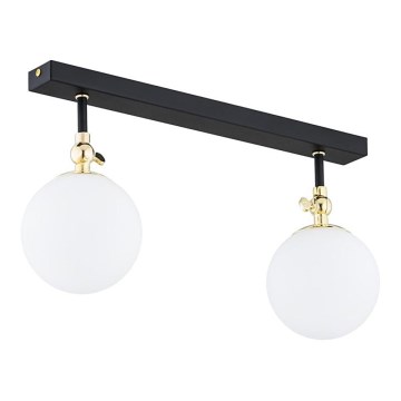 Argon 846 - Kupaonski nadgradni luster LATINA 2xE14/40W/230V IP44