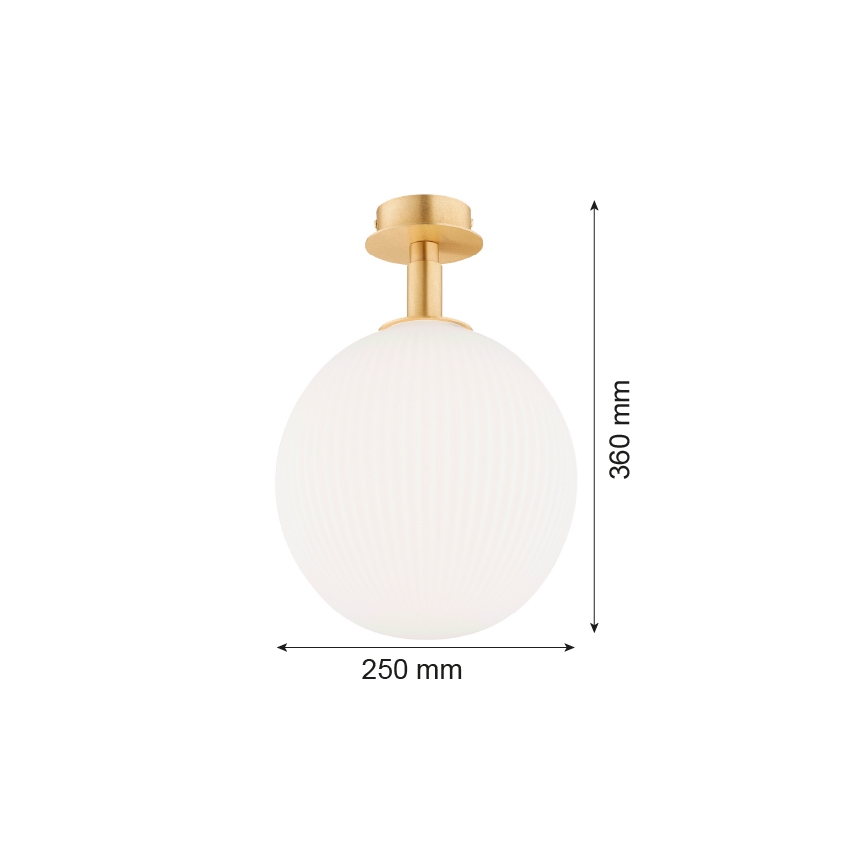Argon 8505 - Stropna svjetiljka PALOMA 1xE27/15W/230V zlatna/bijela