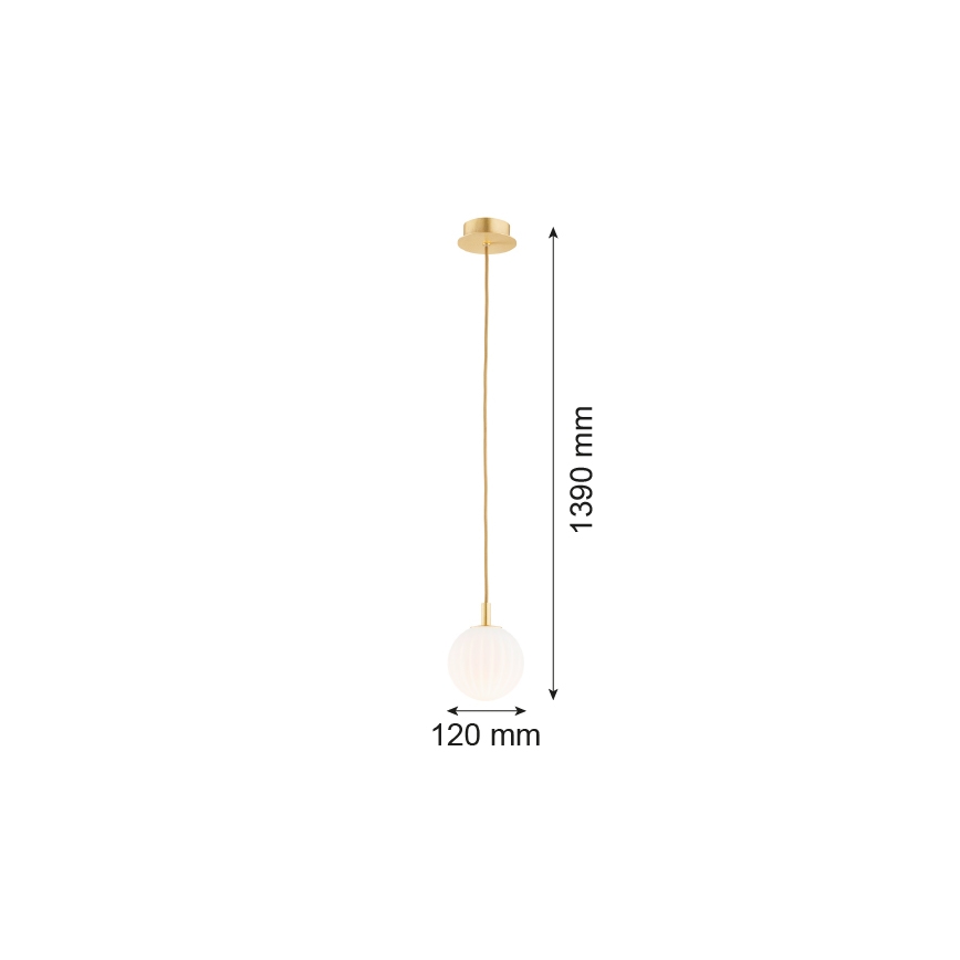 Argon 8506 - Luster na sajli PALOMA 1xE14/7W/230V pr. 12 cm zlatna/bijela