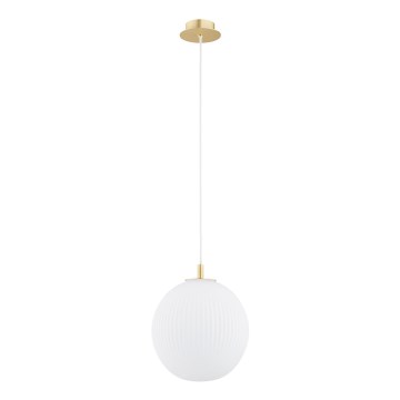 Argon 8507 - Luster na sajli PALOMA 1xE27/15W/230V pr. 25 cm zlatna/bijela