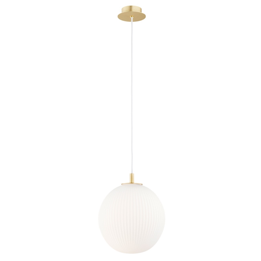 Argon 8507 - Luster na sajli PALOMA 1xE27/15W/230V pr. 25 cm zlatna/bijela