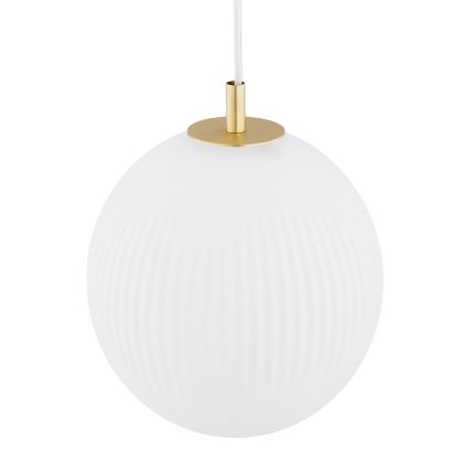Argon 8507 - Luster na sajli PALOMA 1xE27/15W/230V pr. 25 cm zlatna/bijela