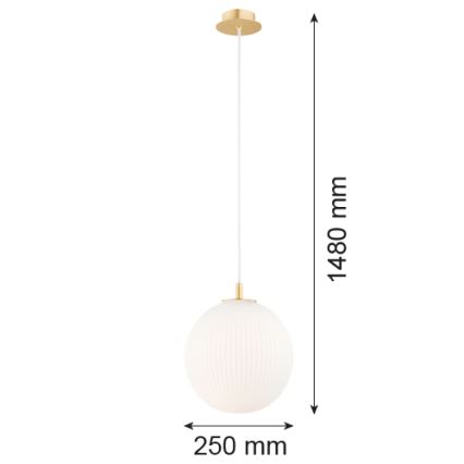 Argon 8507 - Luster na sajli PALOMA 1xE27/15W/230V pr. 25 cm zlatna/bijela