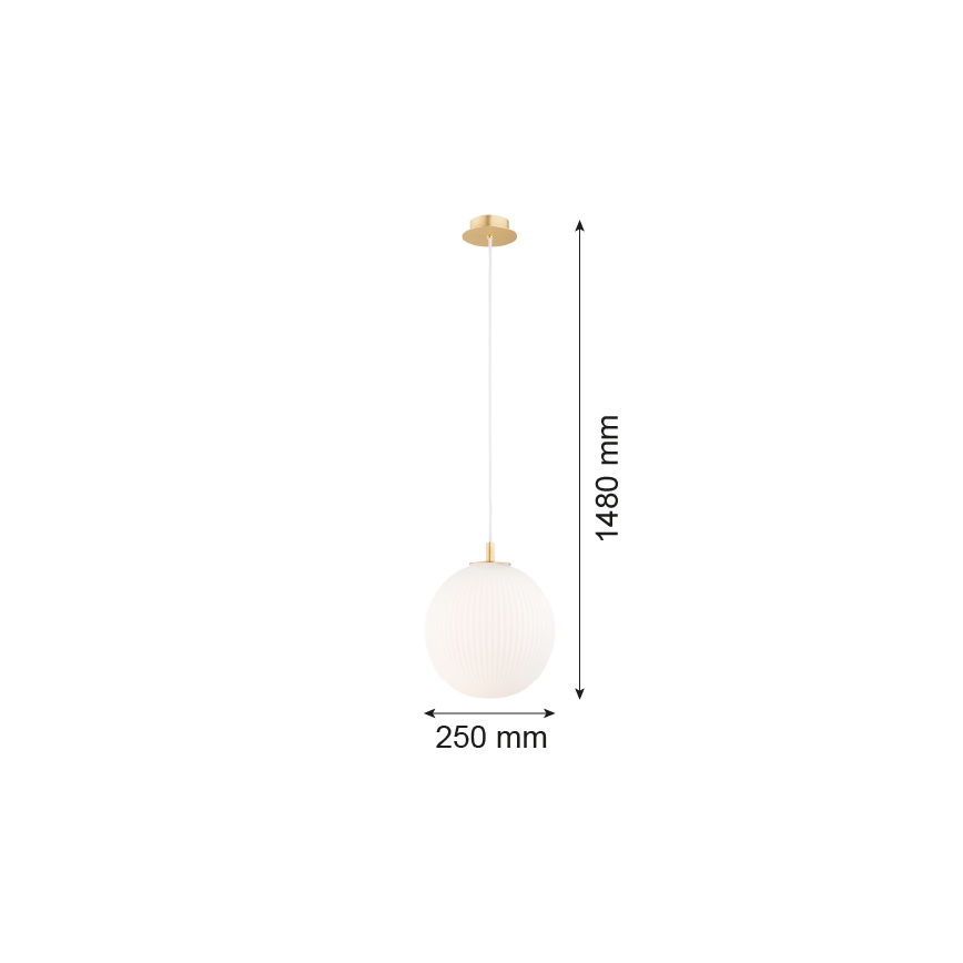 Argon 8507 - Luster na sajli PALOMA 1xE27/15W/230V pr. 25 cm zlatna/bijela