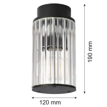 Argon 8773 - Vanjska stropna svjetiljka NORFOLK 1xE27/15W/230V IP44 crna