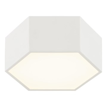 Argon 8781 - LED Stropna svjetiljka LIBERO LED/12W/230V 3000K bijela