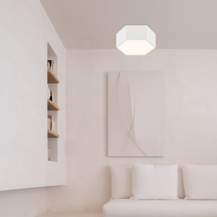 Argon 8781 - LED Stropna svjetiljka LIBERO LED/12W/230V 3000K bijela