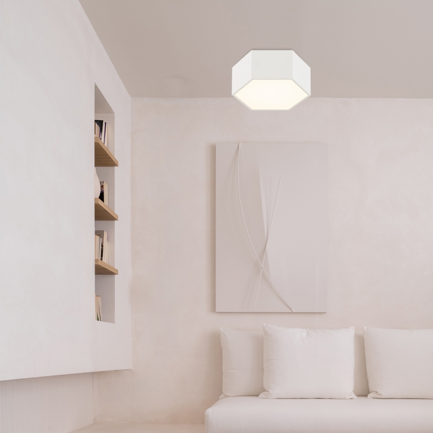 Argon 8781 - LED Stropna svjetiljka LIBERO LED/12W/230V 3000K bijela