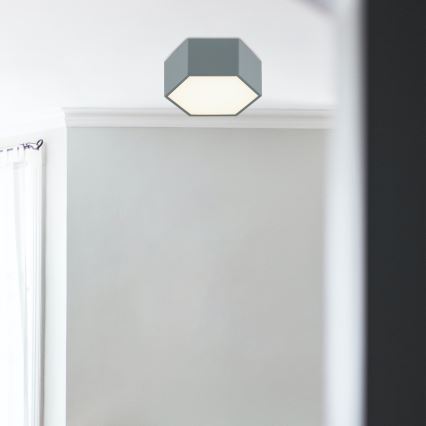 Argon 8784 - LED Stropna svjetiljka LIBERO LED/12W/230V 3000K siva