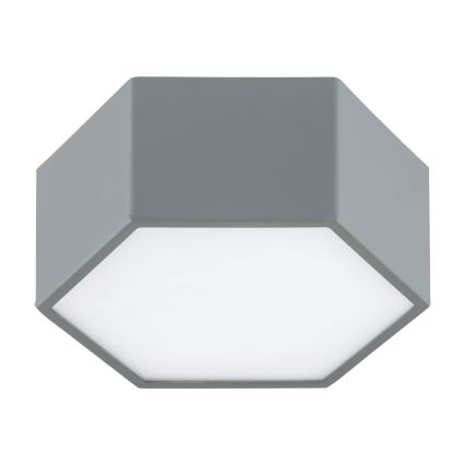 Argon 8784 - LED Stropna svjetiljka LIBERO LED/12W/230V 3000K siva