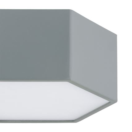 Argon 8784 - LED Stropna svjetiljka LIBERO LED/12W/230V 3000K siva
