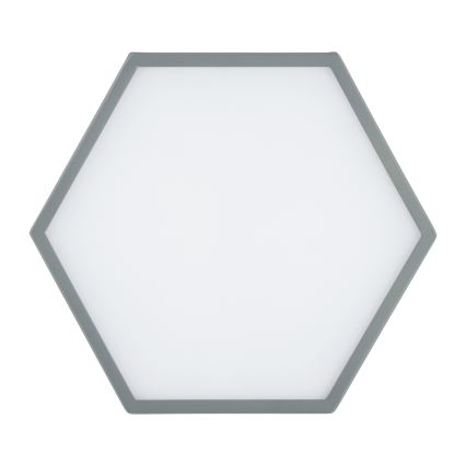 Argon 8784 - LED Stropna svjetiljka LIBERO LED/12W/230V 3000K siva