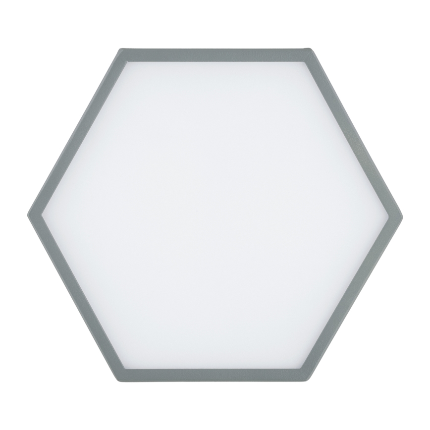 Argon 8784 - LED Stropna svjetiljka LIBERO LED/12W/230V 3000K siva