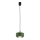 Argon 8815 - Luster na sajli TEVO 1xG9/4,5W/230V zelena